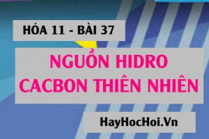 Thành phần của dầu mỏ, khí thiên nhiên, khí mỏ dầu, than mỏ và ứng dụng - Hóa 11 bài 37